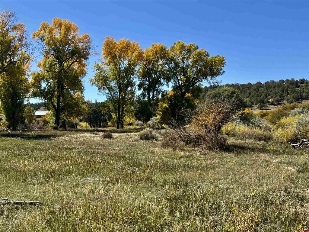 769 & 784 Bareback Lane Durango CO 81303