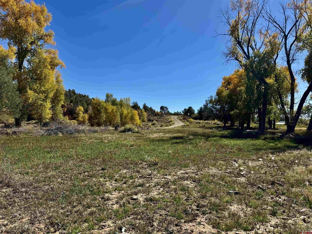 769 & 784 Bareback Lane Durango CO 81303