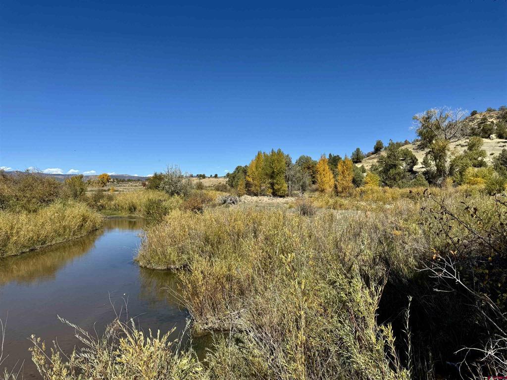 769 & 784 Bareback Lane Durango CO 81303