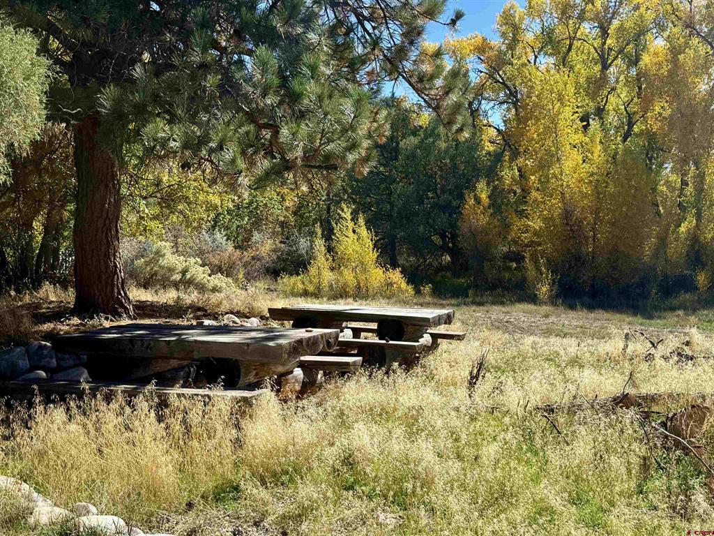 769 & 784 Bareback Lane Durango CO 81303