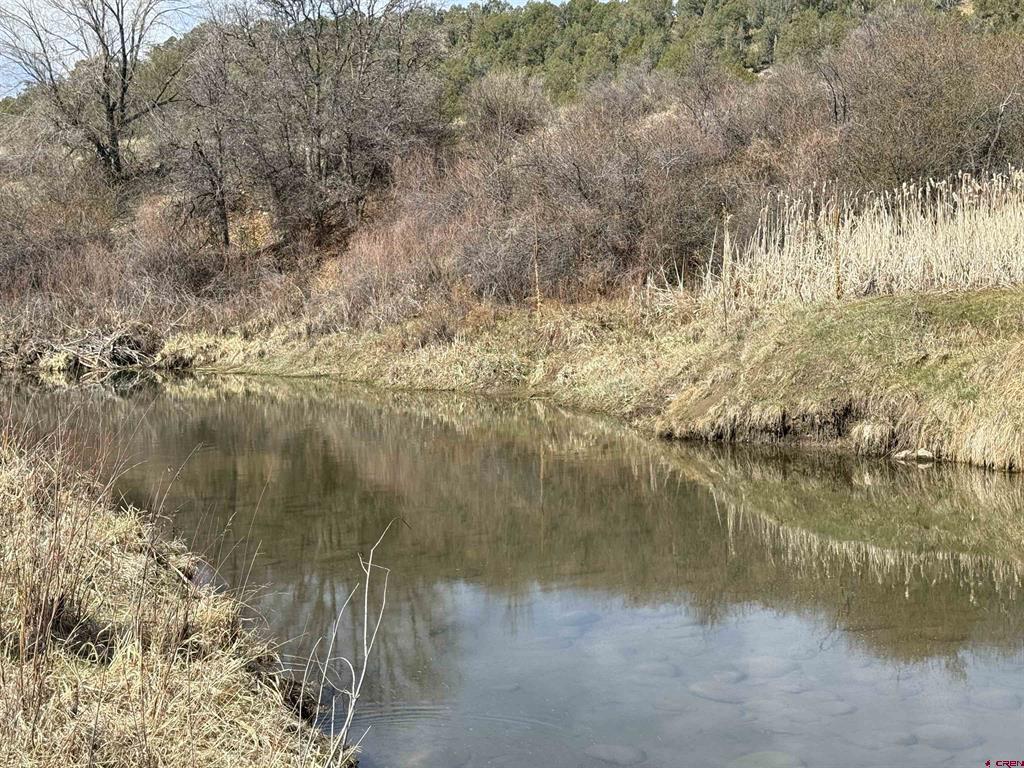 769 & 784 Bareback Lane Durango CO 81303