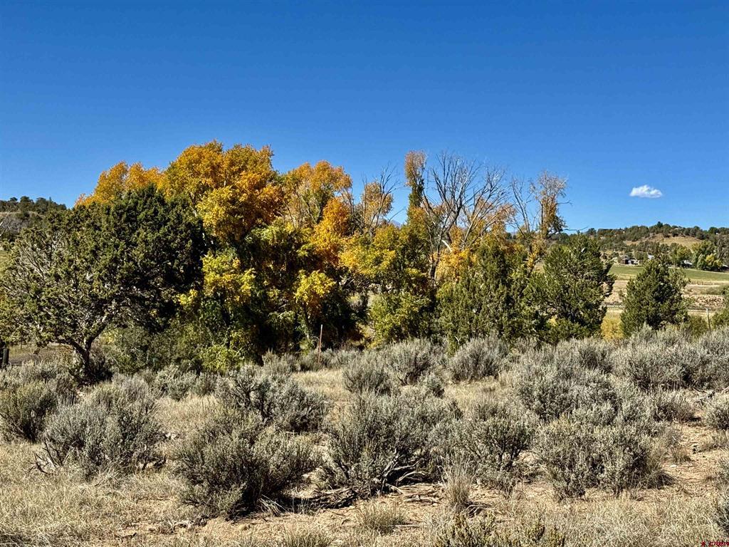 769 & 784 Bareback Lane Durango CO 81303