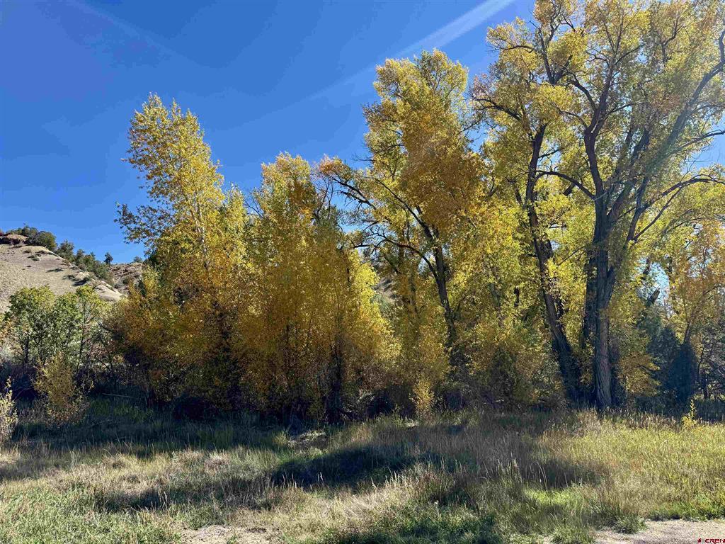 769 & 784 Bareback Lane Durango CO 81303