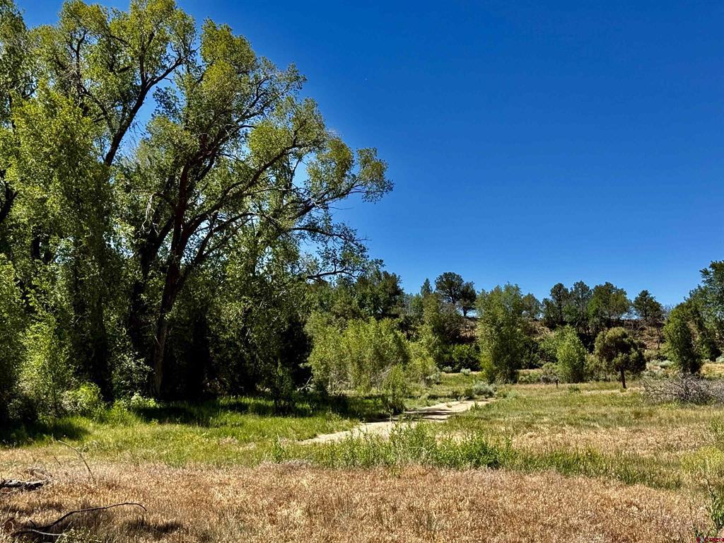 769 & 784 Bareback Lane Durango CO 81303