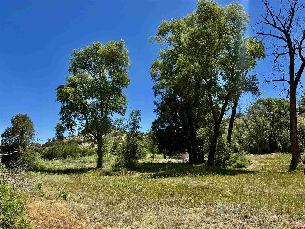 769 & 784 Bareback Lane Durango CO 81303