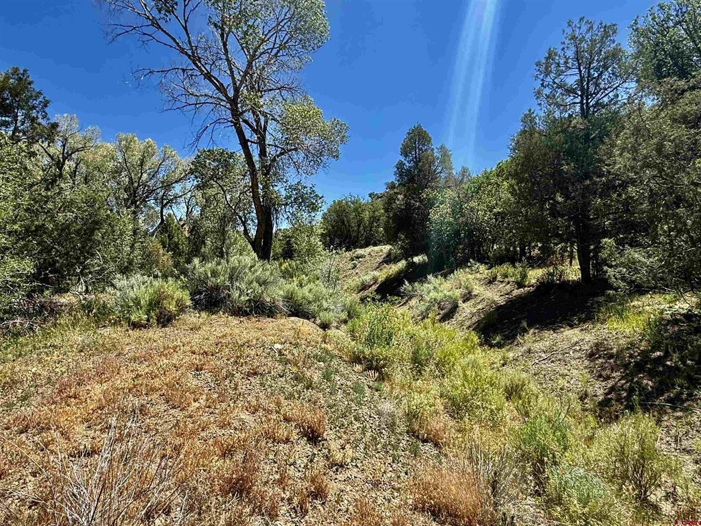 769 & 784 Bareback Lane Durango CO 81303