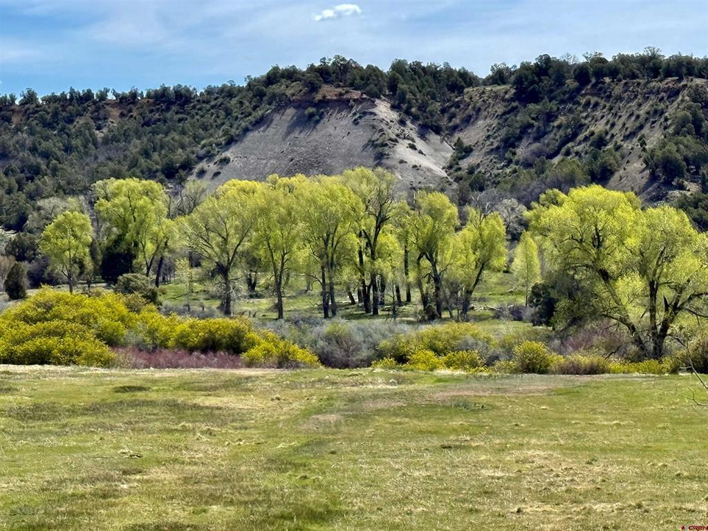 769 & 784 Bareback Lane Durango CO 81303