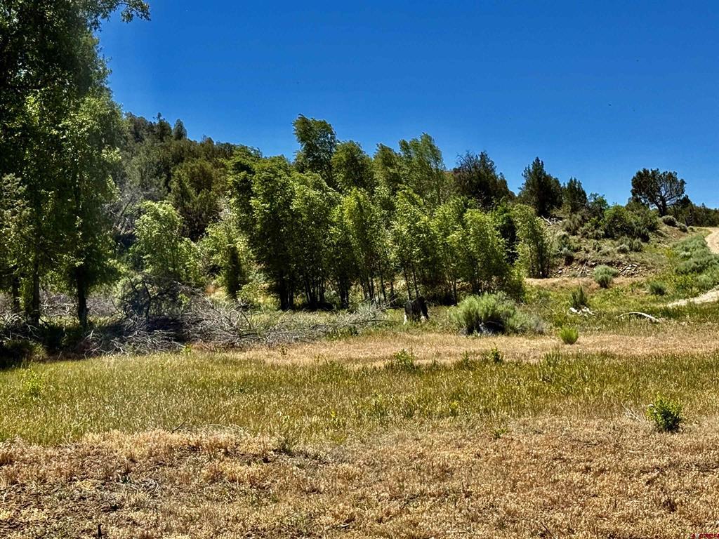 769 & 784 Bareback Lane Durango CO 81303