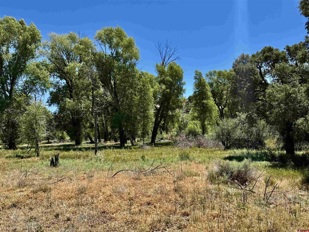 769 & 784 Bareback Lane Durango CO 81303