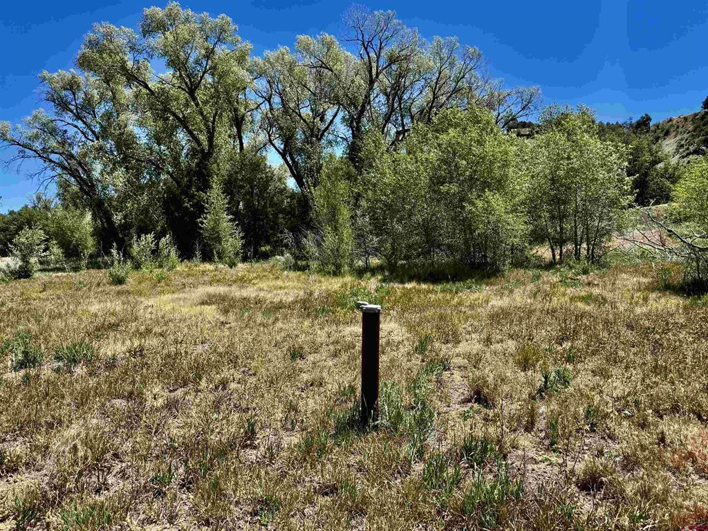 769 & 784 Bareback Lane Durango CO 81303