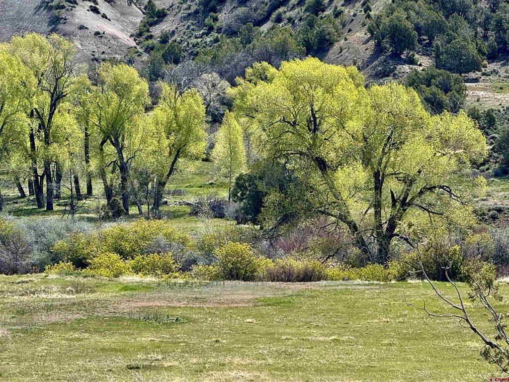 769 & 784 Bareback Lane Durango CO 81303