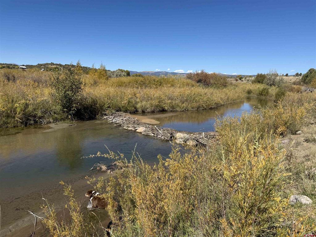 769 & 784 Bareback Lane Durango CO 81303