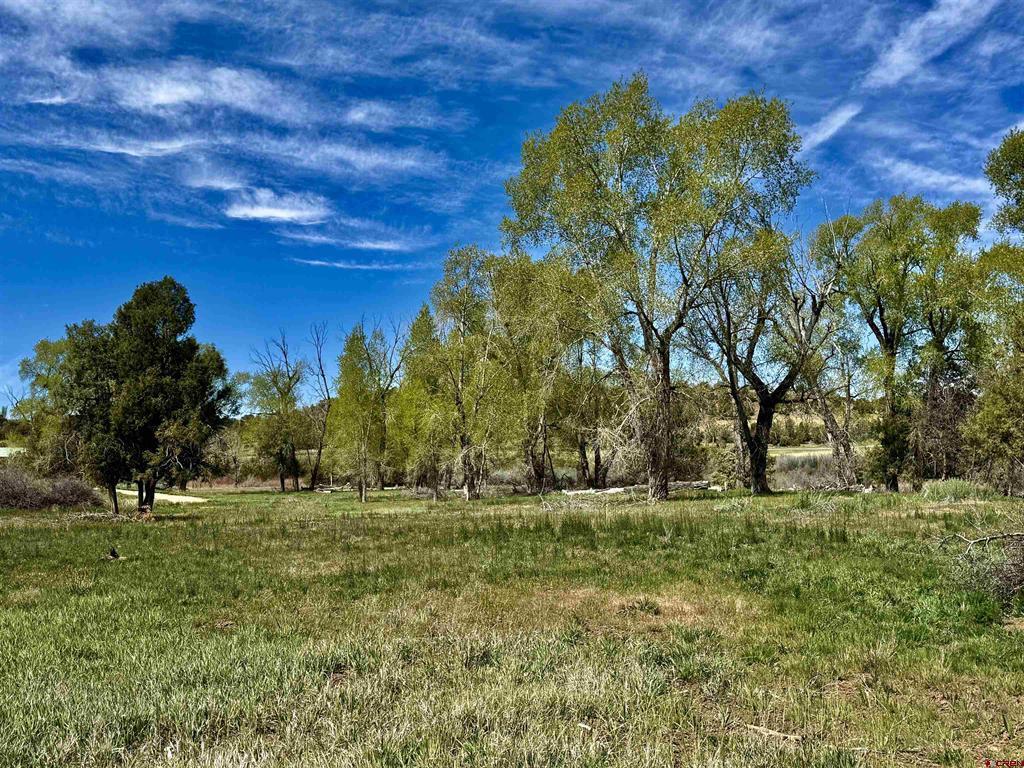 769 & 784 Bareback Lane Durango CO 81303