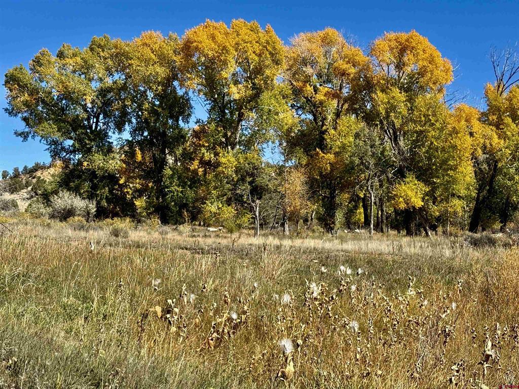 769 & 784 Bareback Lane Durango CO 81303