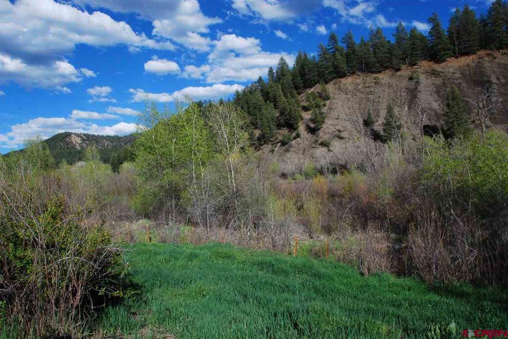 546 County Road 335 Pagosa Springs CO 81147