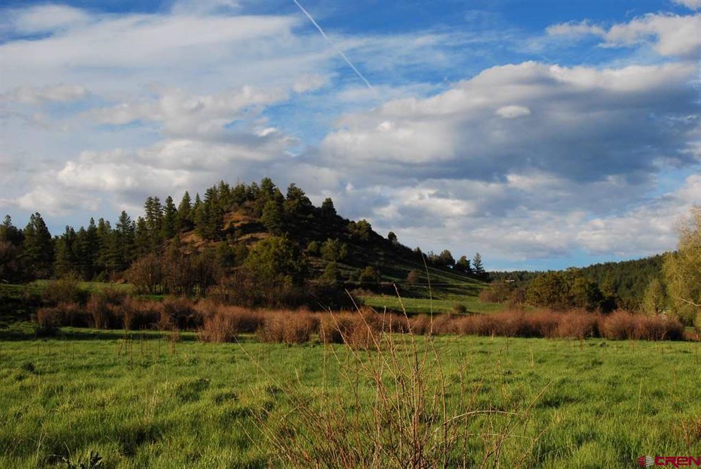 546 County Road 335 Pagosa Springs CO 81147