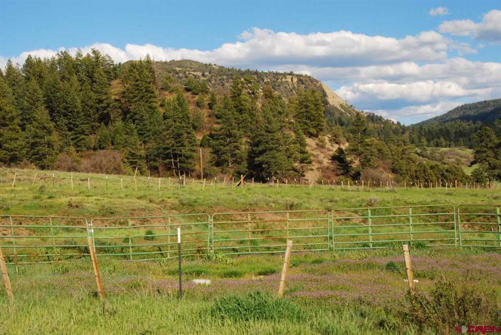 546 County Road 335 Pagosa Springs CO 81147