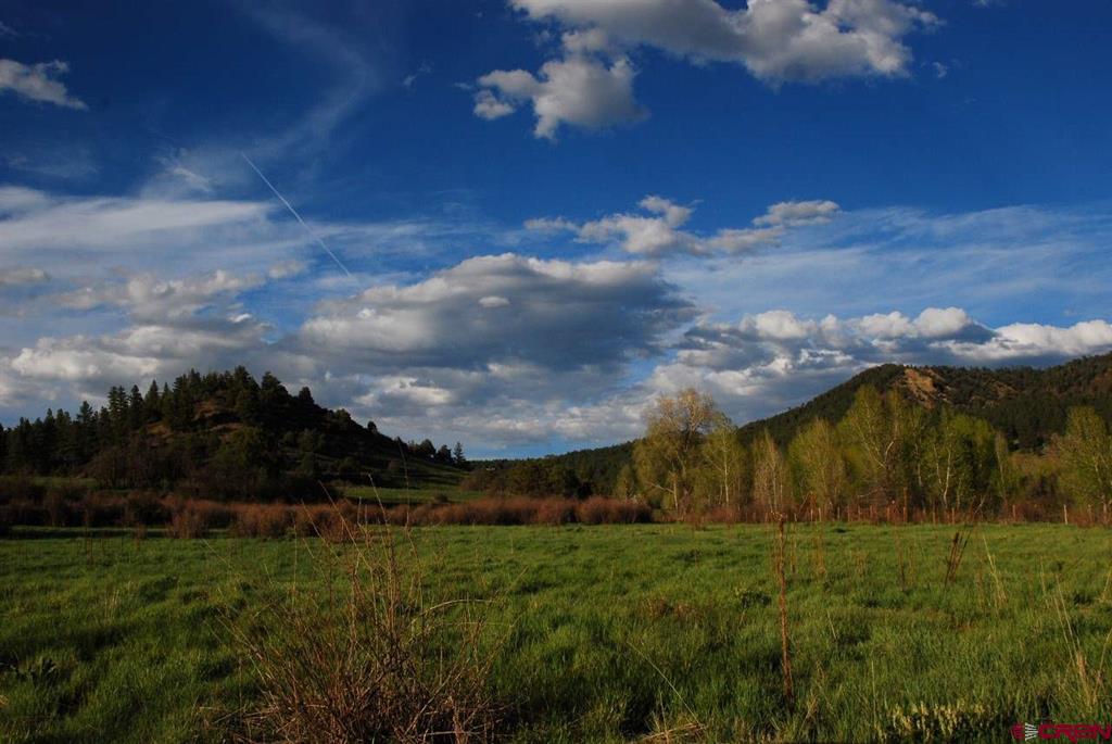 546 County Road 335 Pagosa Springs CO 81147
