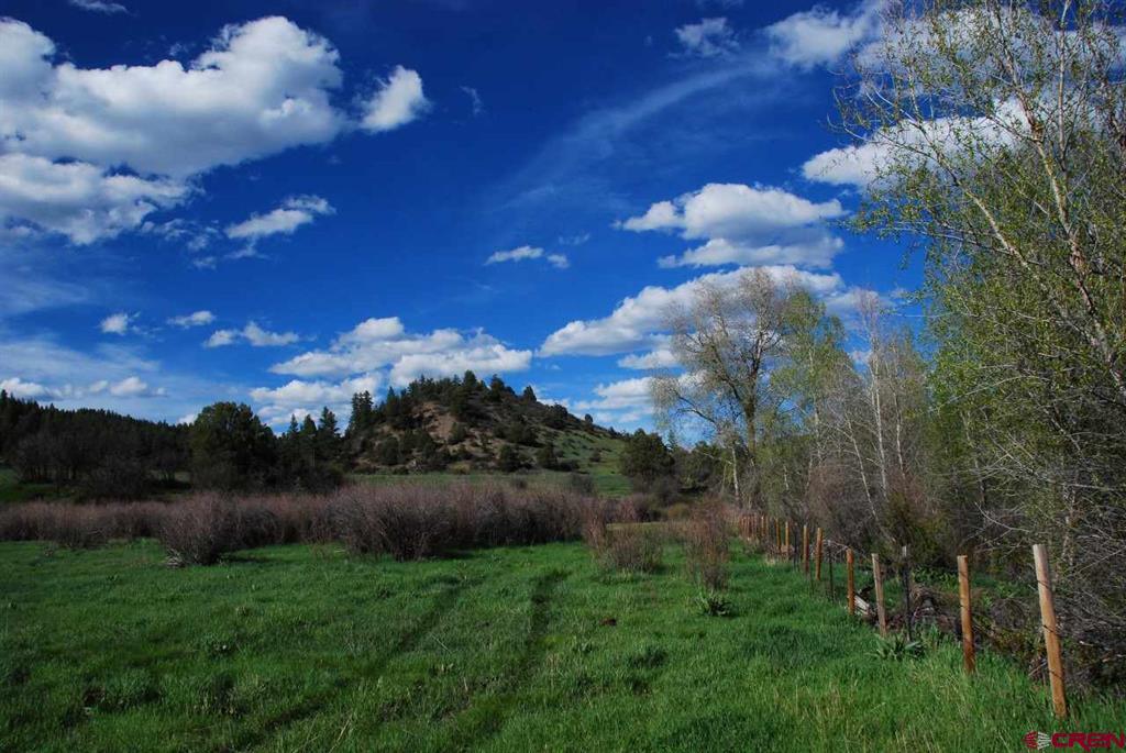 546 County Road 335 Pagosa Springs CO 81147
