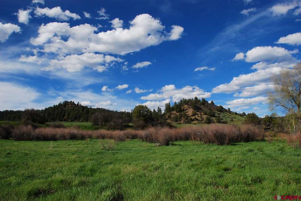 546 County Road 335 Pagosa Springs CO 81147