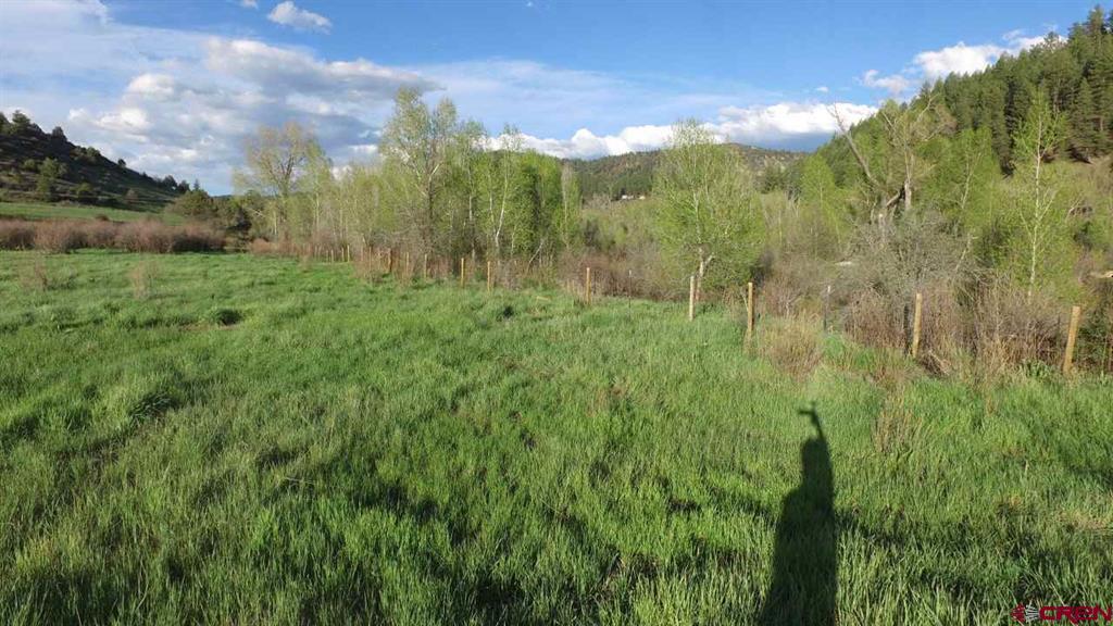 546 County Road 335 Pagosa Springs CO 81147