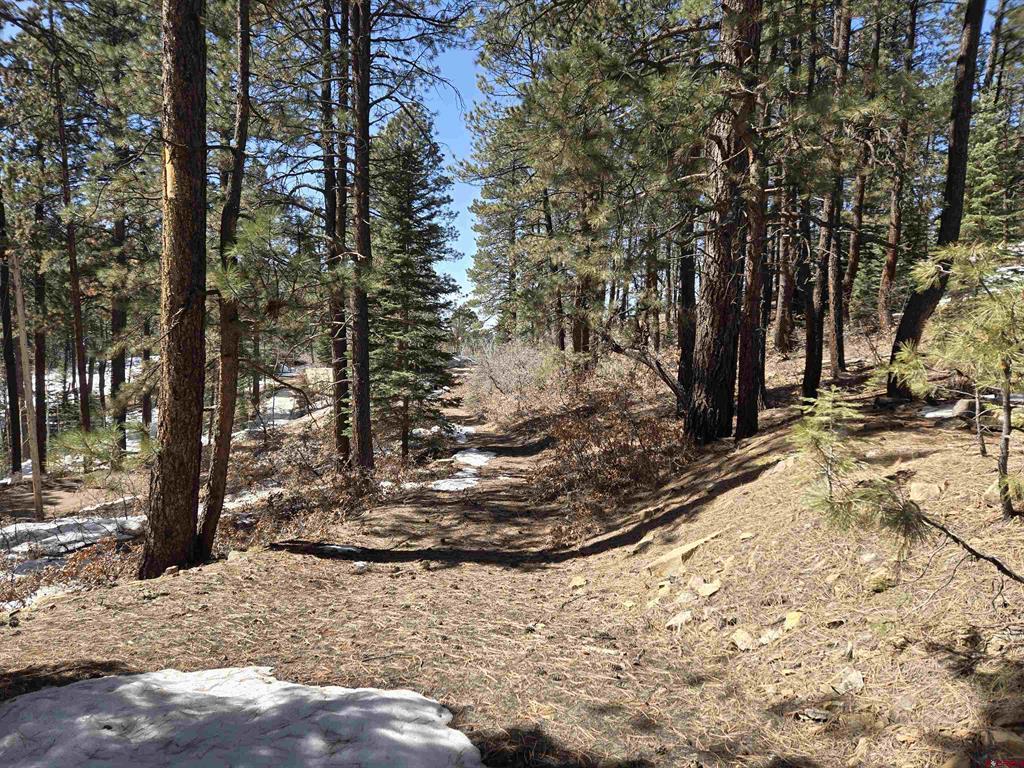 Lot 9 Groves Drive Durango CO 81301