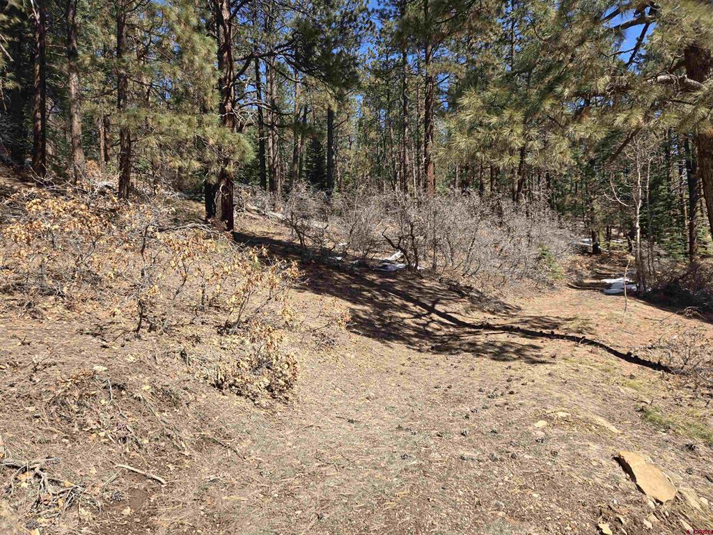 Lot 9 Groves Drive Durango CO 81301