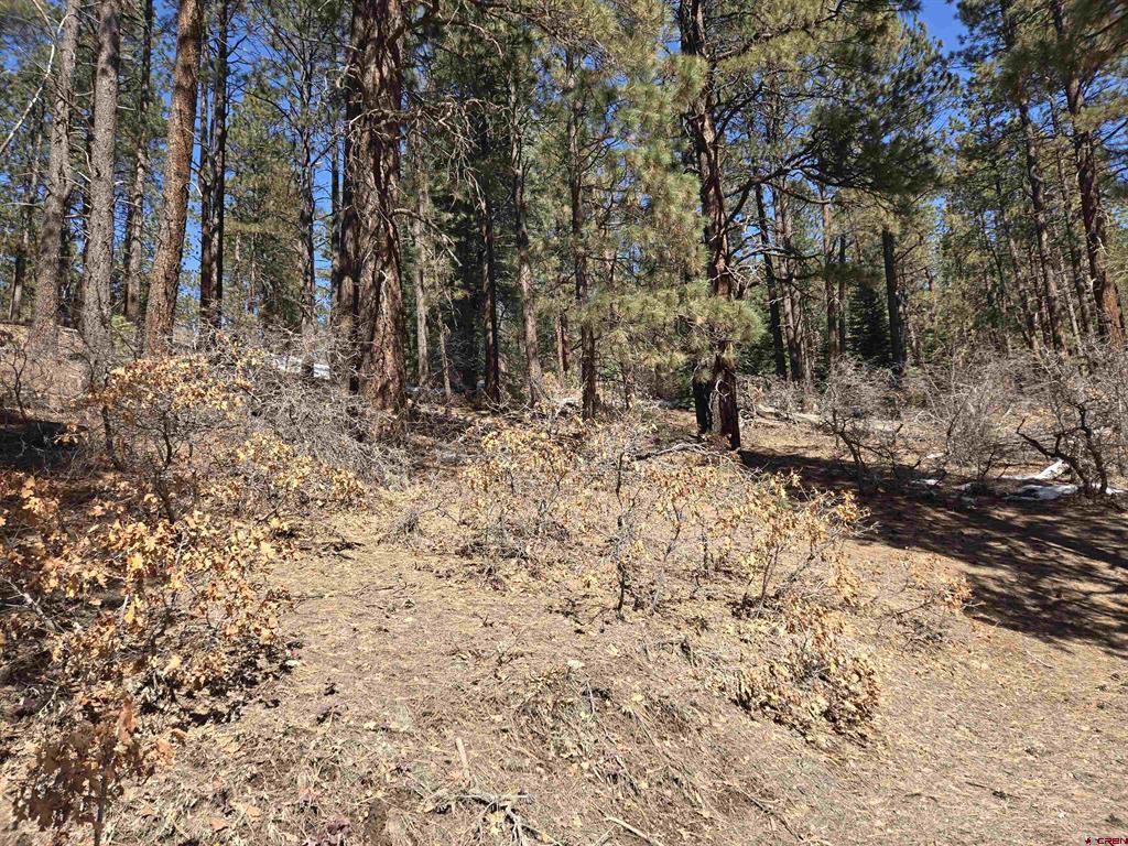 Lot 9 Groves Drive Durango CO 81301