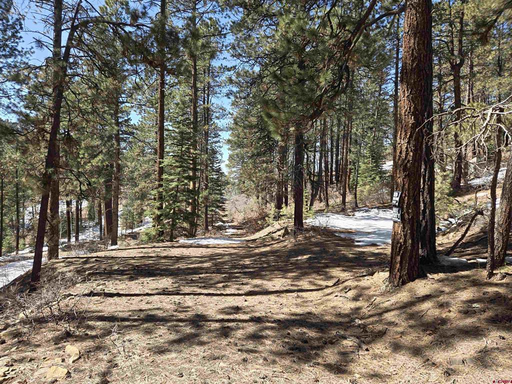 Lot 9 Groves Drive Durango CO 81301