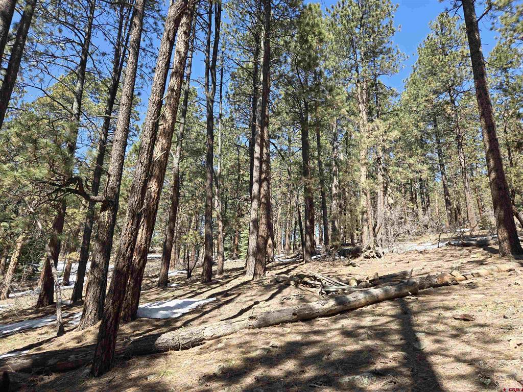 Lot 9 Groves Drive Durango CO 81301