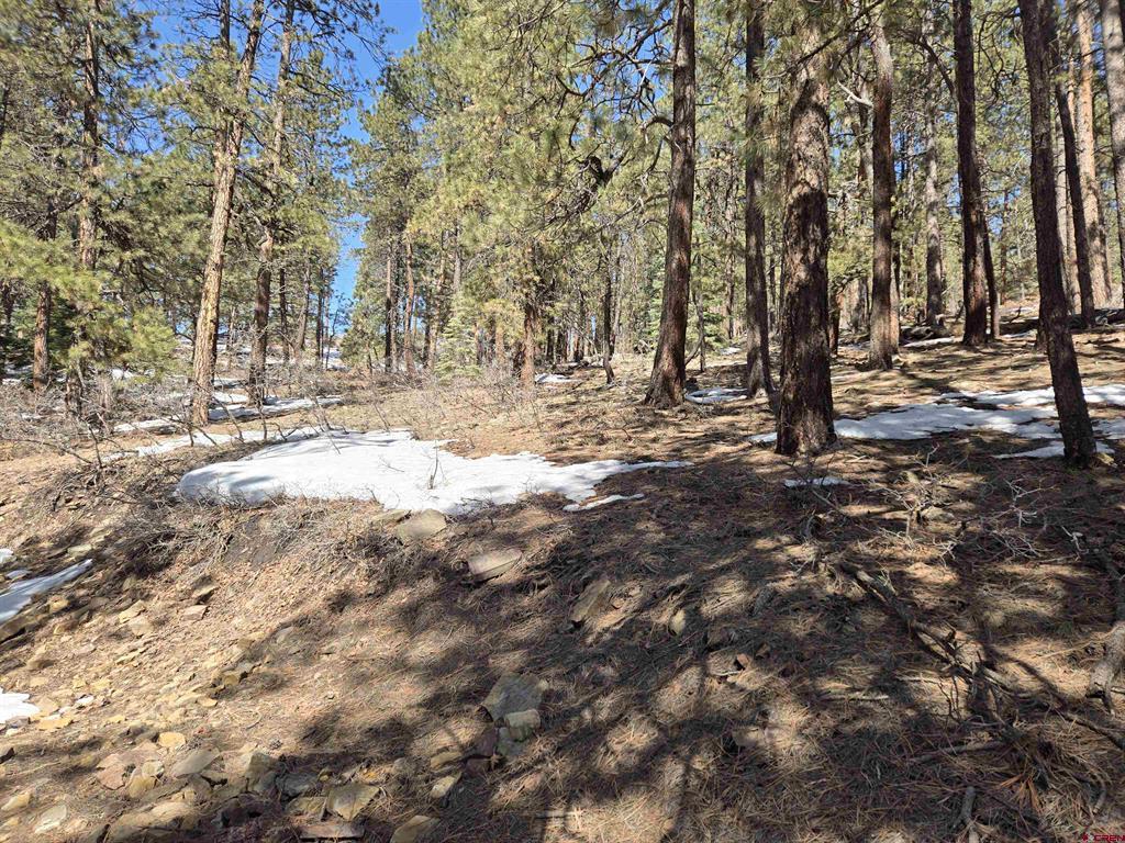 Lot 9 Groves Drive Durango CO 81301
