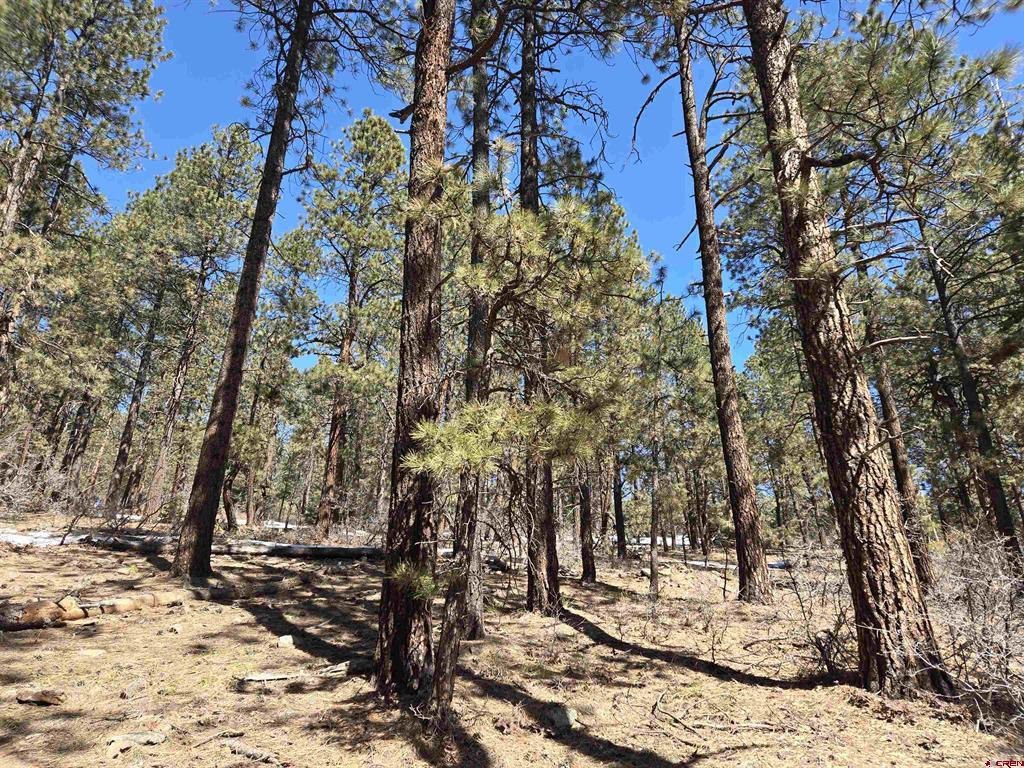 Lot 9 Groves Drive Durango CO 81301