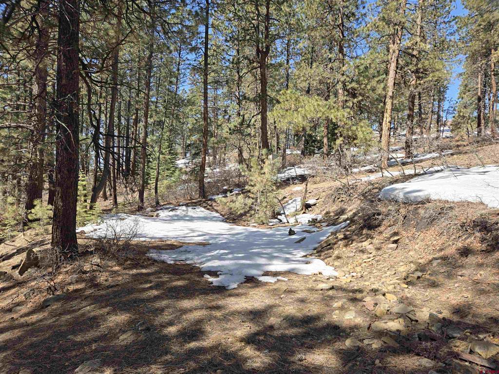 Lot 9 Groves Drive Durango CO 81301