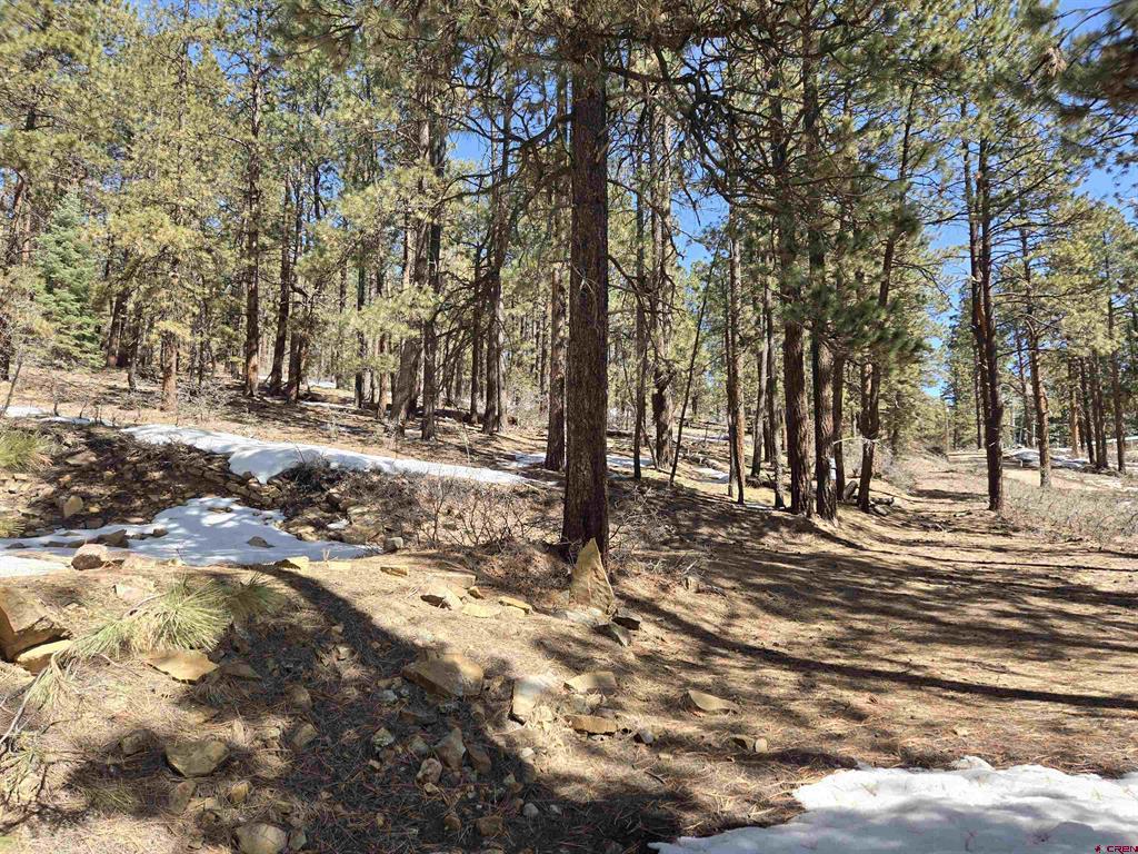 Lot 9 Groves Drive Durango CO 81301