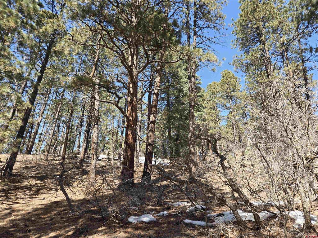 Lot 9 Groves Drive Durango CO 81301