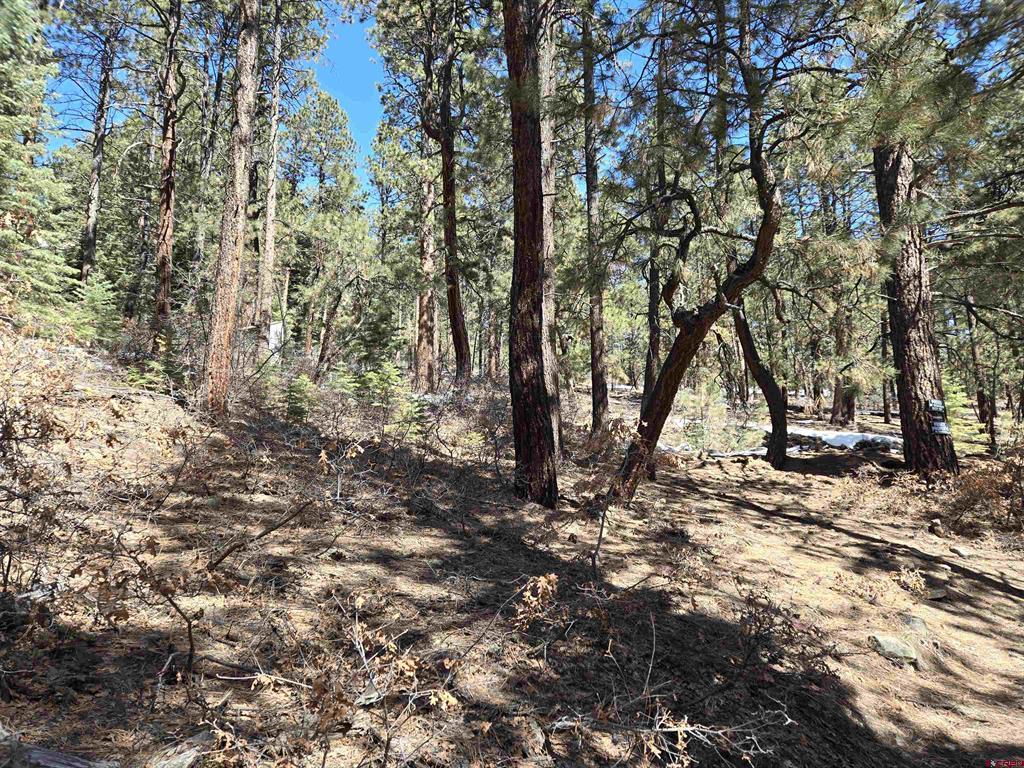 Lot 9 Groves Drive Durango CO 81301