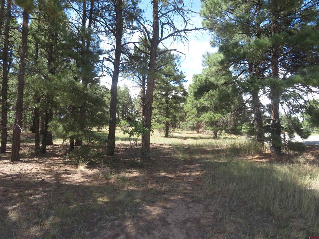 Pagosa Springs CO, 824 Antelope Avenue