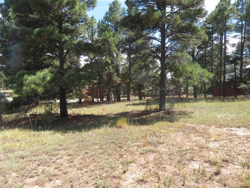 824 Antelope Avenue Pagosa Springs CO 81147