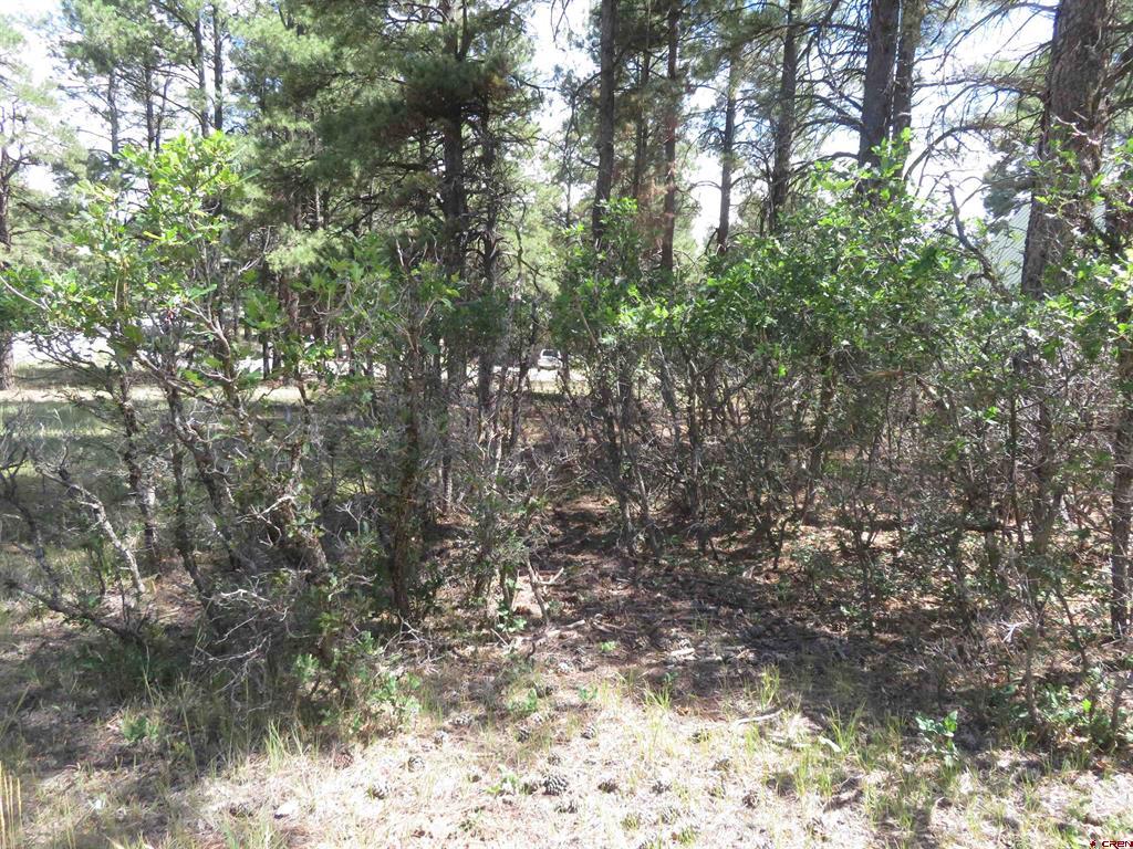 824 Antelope Avenue Pagosa Springs CO 81147