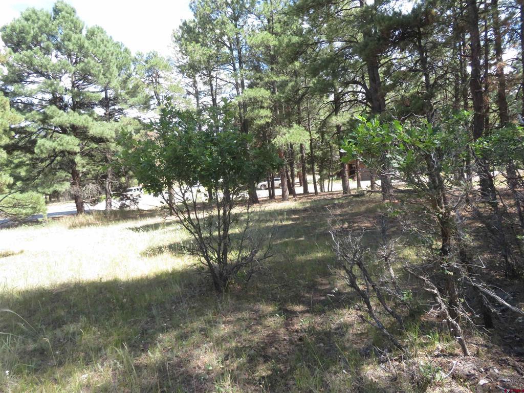 824 Antelope Avenue Pagosa Springs CO 81147