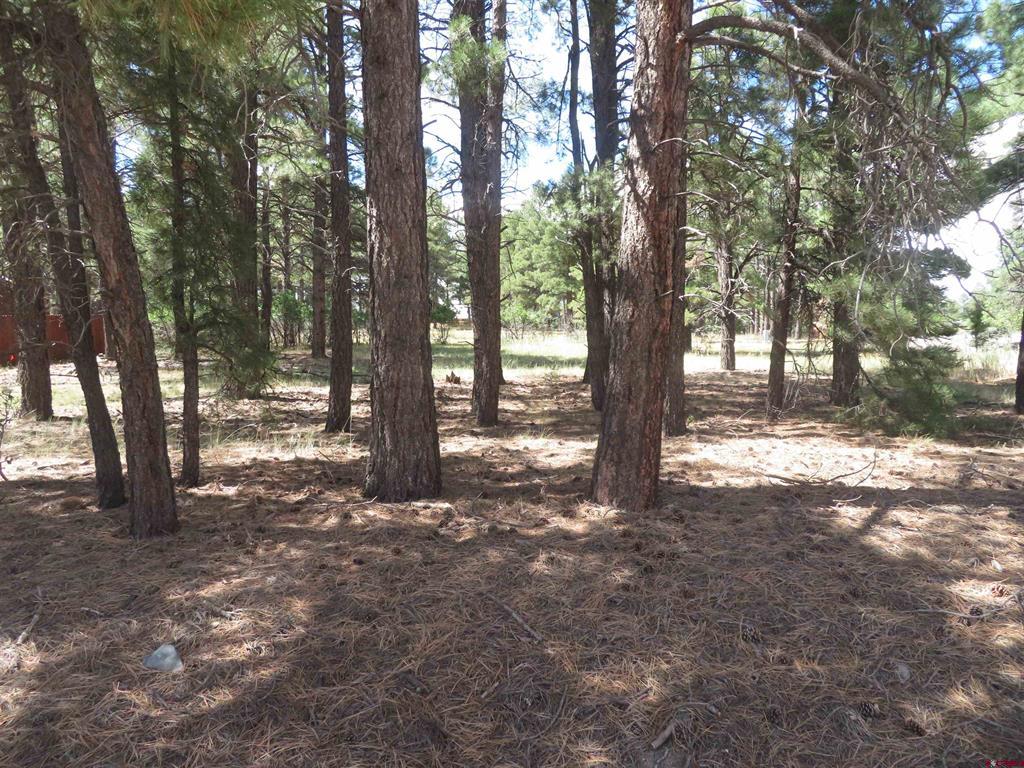 824 Antelope Avenue Pagosa Springs CO 81147