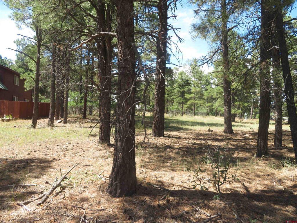 824 Antelope Avenue Pagosa Springs CO 81147