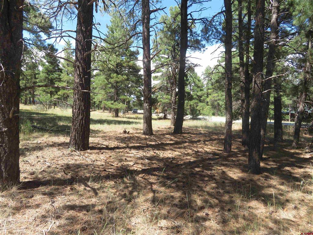 824 Antelope Avenue Pagosa Springs CO 81147