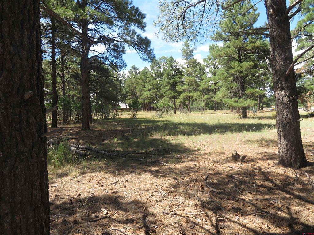 824 Antelope Avenue Pagosa Springs CO 81147