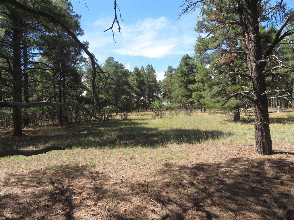 824 Antelope Avenue Pagosa Springs CO 81147
