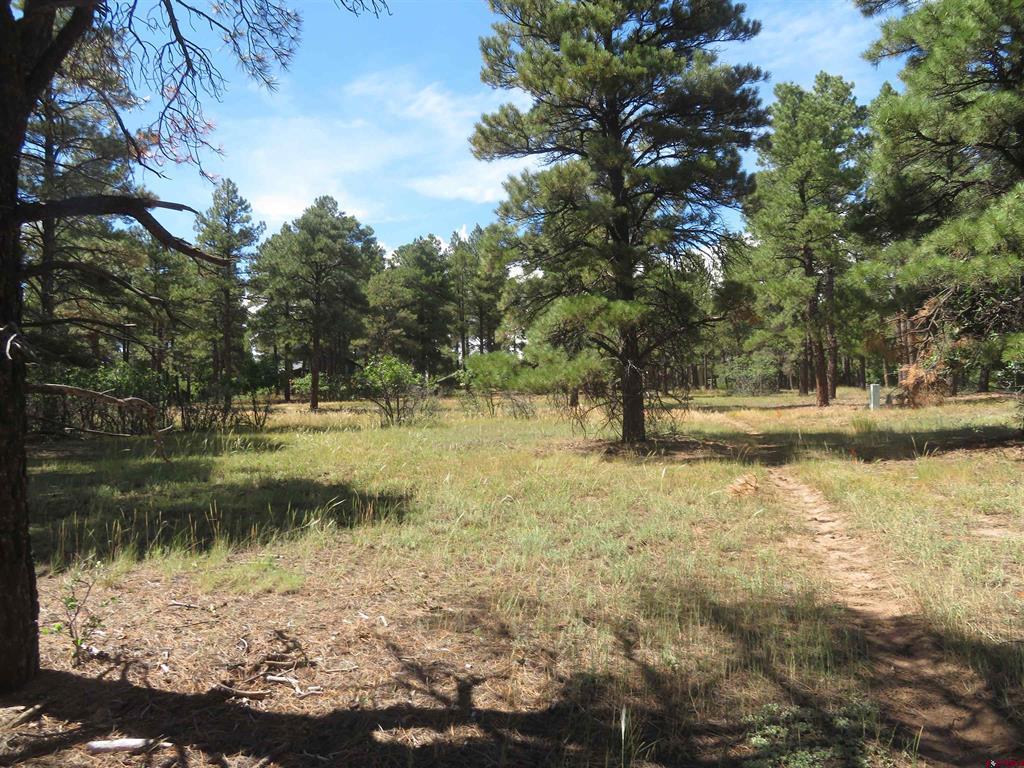 824 Antelope Avenue Pagosa Springs CO 81147