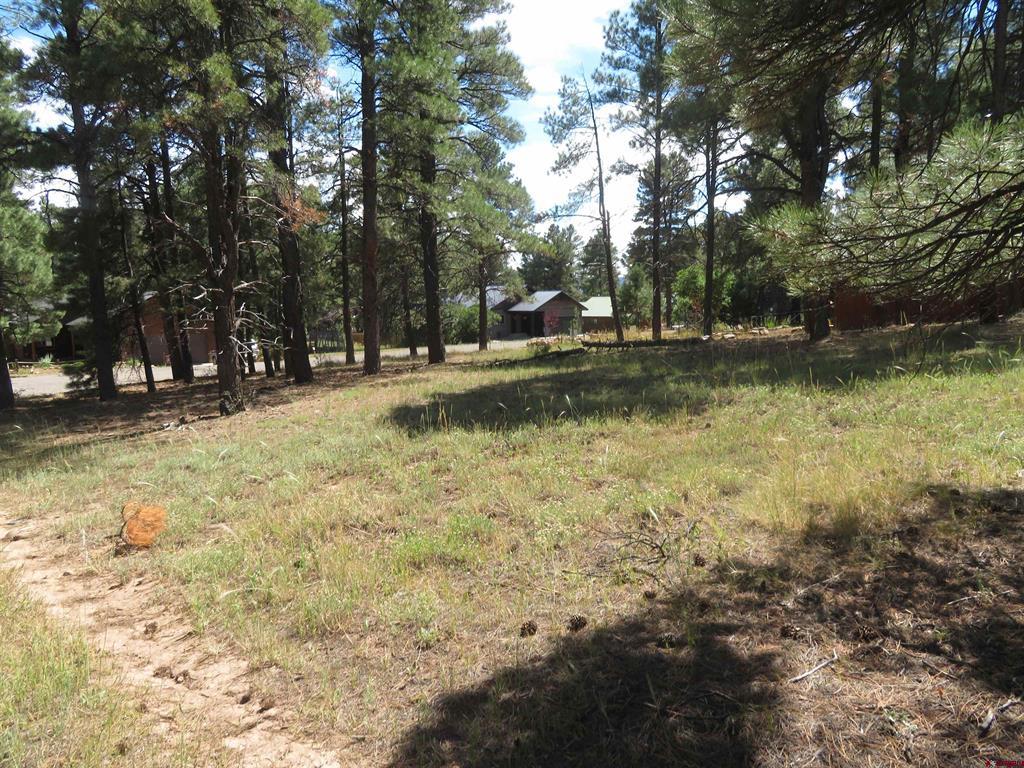 824 Antelope Avenue Pagosa Springs CO 81147