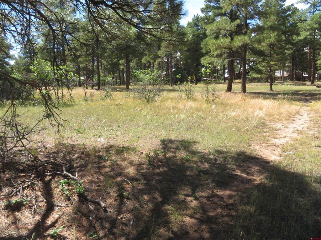 824 Antelope Avenue Pagosa Springs CO 81147