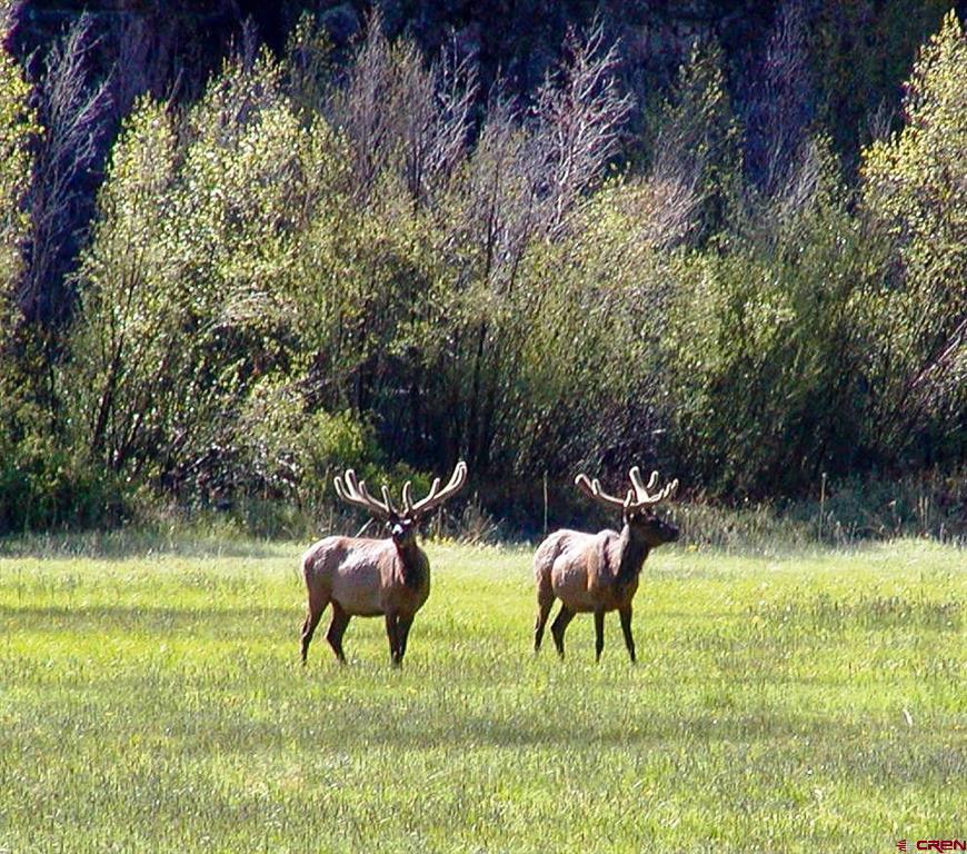 518 Cebolla River Road Gunnison CO 81243