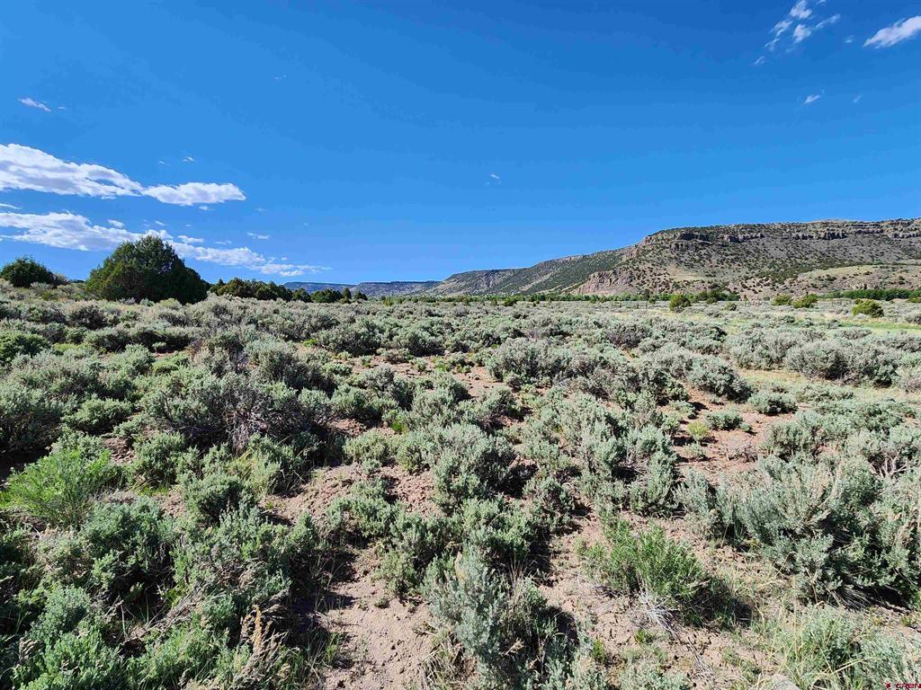 Lot 11 Conejos River Trails Antonito CO 81120